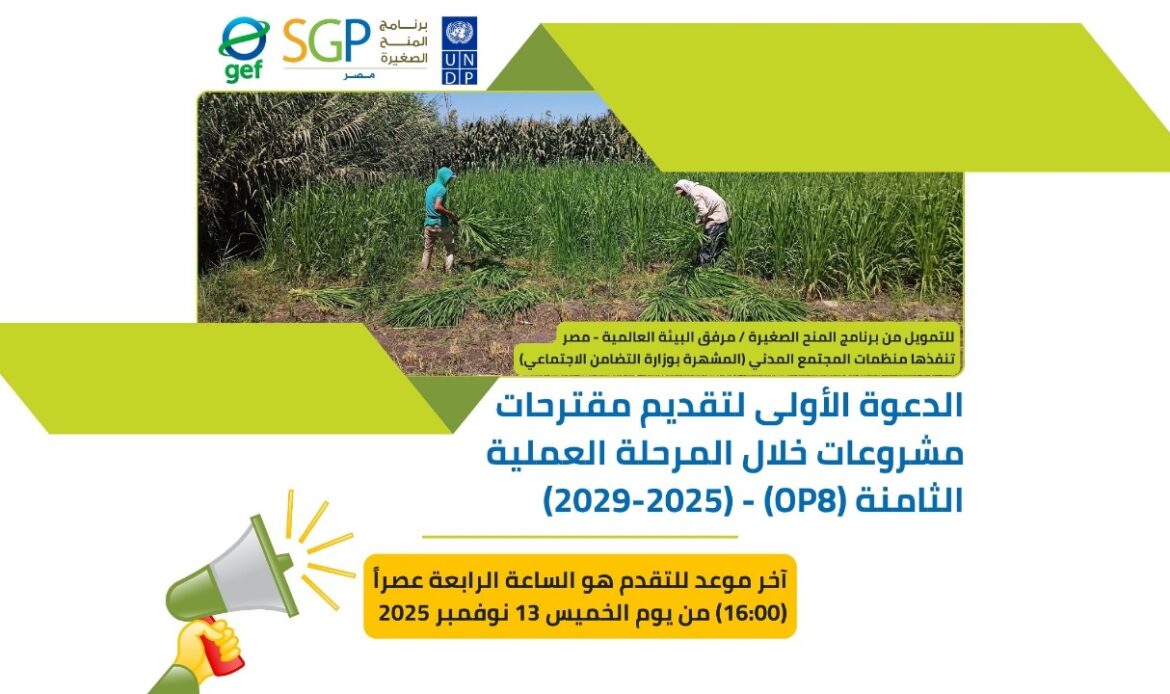 الدعوة الأولى لتقديم مقترحات مشروعات خلال المرحلة العملية الثامنة (OP8) (2029-2025)