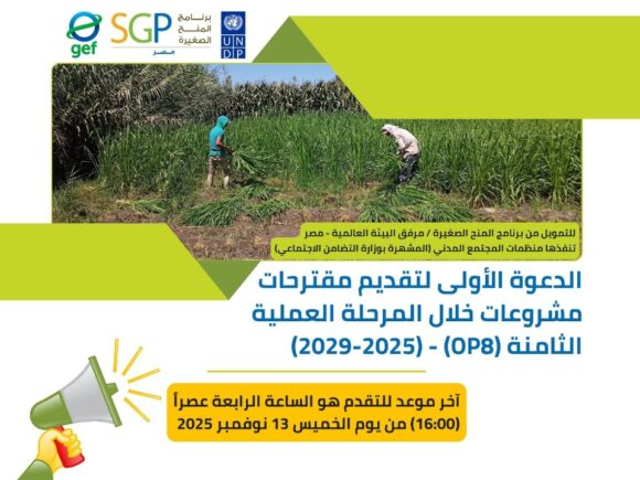 الدعوة الأولى لتقديم مقترحات مشروعات خلال المرحلة العملية الثامنة (OP8) (2029-2025)