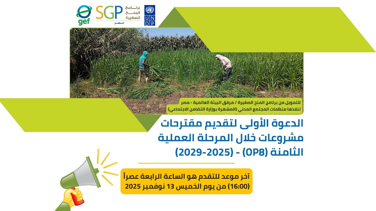 الدعوة الأولى لتقديم مقترحات مشروعات خلال المرحلة العملية الثامنة (OP8) (2029-2025)