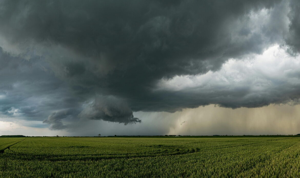 كيف يواجه المزارعون حالة عدم استقرار الأحوال الجوية؟